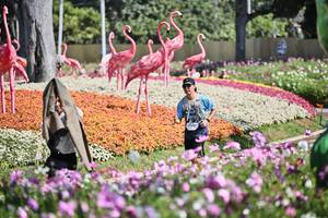 BIB: 
                            <button type="button" onclick="openModal(27794076)" class="btn btn-primary btn-sm float-right btn-popup" data-toggle="modal" data-target=".modal-high-quality">
                        <i class="fas fa-shopping-cart"></i> Add to Cart
                    </button>
                                            <button type="button" onclick="isThisMe(27794076, true)" class="btn btn-success btn-sm float-right btn-popup btn-isme hidden" data-toggle="tooltip" data-placement="bottom" title="นี่คือรูปของคุณใช่ไหม คลิกที่นี่เพื่อเอาเข้าอัลบั้ม">
                        <i class="fas fa-plus"></i> Add to album
                    </button>
                    <button type="button" onclick="isThisMe(27794076, false)" class="btn btn-warning btn-sm float-right btn-popup btn-isnotme hidden">
                        <i class="fas fa-ban"></i> Remove from album
                    </button>